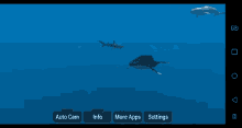 Whale Swim GIF - Whale Swim Ocean GIFs