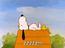 Snoopy Peanuts GIF - Snoopy Peanuts Sleep GIFs