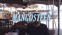 Mangosteen Static Vision GIF - Mangosteen Static Vision Obsessions GIFs