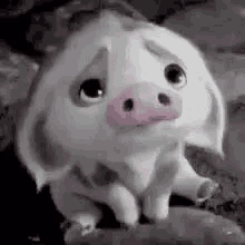 Sad Pig GIF - Sad Pig GIFs
