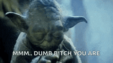 a close up of a statue of yoda smoking a cigarette and saying dumb bitch you are .