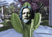 Hanktus Cactus GIF