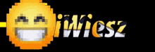 a pixelated smiley face with the word iwiesz below it