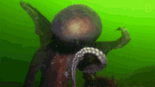 swim away camouflage queen wonderfully weird octopus tentacles