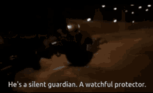 silent guardian watchful protector batman dark knight