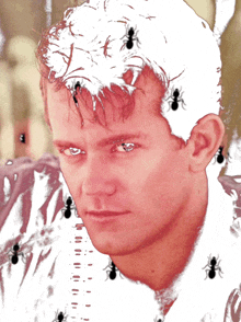 a close up of a man 's face with ants on his head