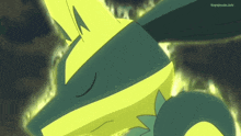 a close up of a cartoon character with the words pokemon.info below