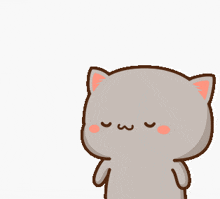 Mochi Cat GIF - Mochi Cat GIFs
