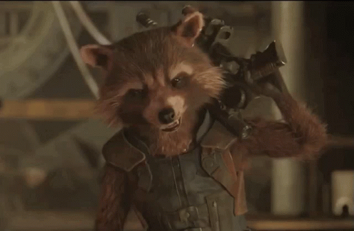 Rocket Racoon Racoon GIF - Rocket Racoon Racoon Rocket GIFs