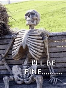 a skeleton sits on a wooden bench with the words i 'll be fine written below it