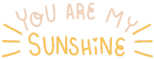 sunshine you are my sunshine text animated text