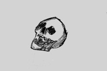 impact skull