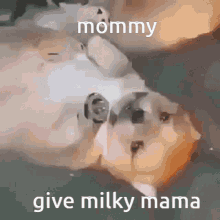 Mommy Milky GIF - Mommy Milky Mama GIFs