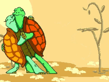 dance turtle