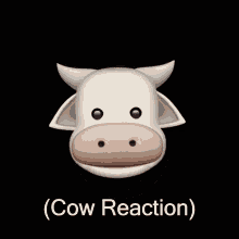 Cow Reaction GIF - Cow Reaction GIFs