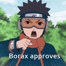 Borax Borax Approves GIF