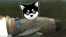 GIF