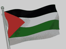 Palestine Palestine Flag GIF - Palestine Palestine Flag GIFs