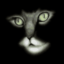 Cat Glowing Eyes GIF - Cat Glowing Eyes Black Cat GIFs