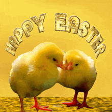 Happy Easter Easter Greetings GIF - Happy Easter Easter Greetings Easter Chicks GIFs