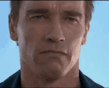 Arnold Schwarzenegger Grin GIF