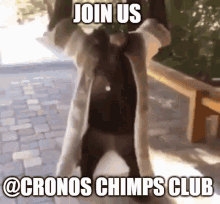 Join Join Us GIF - Join Join Us Cronos Chimp Club GIFs