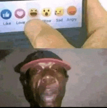 Eli53489345 Meme