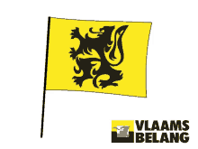 Vlaanderen Vlaamse Leeuw GIF - Vlaanderen Vlaamse Leeuw Vlaams Belang GIFs