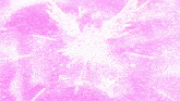 a pink background with a white bird flying in the sky .