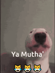 Ya Mutha GIF - Ya Mutha Walter GIFs