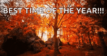 Happy Fall First Day Of Fall GIF