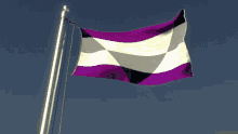 Aegosexual Asexual GIF - Aegosexual Asexual Pride Flag GIFs