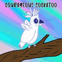 courageous cockatoo veefriends brave fearless cockatoo