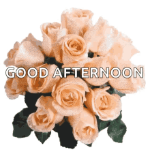 Good Afternoon Greetings GIF - Good Afternoon Greetings Sparkles GIFs