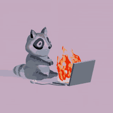 Racoon Computer On Fire GIF - Racoon Computer On Fire Chaos GIFs