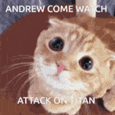 Andrew Aot Andrew Attack On Titan GIF - Andrew Aot Andrew Attack On Titan GIFs