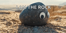a rock with googly eyes and the words i am the rock