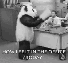 Angry Panda GIF