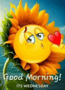 a sunflower with a smiley face and a heart on it says good morning its wednesday .