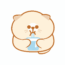 kitt drink fat cat chubby