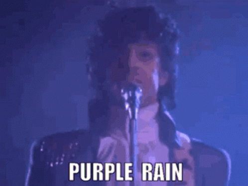 purple-rain-prince.gif