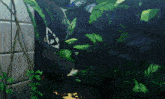 a drawing of a person in a jungle with the number 12 on their head
