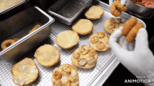 a tray of food with the words made in animatica on the bottom right