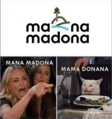 Latvia Cat Meme GIF - Latvia Cat Meme GIFs