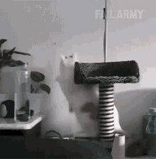 Pesky Cat Failarmy GIF - Pesky Cat Failarmy Falling Pot GIFs