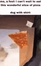 Dog Shirt GIF - Dog Shirt Pizza GIFs