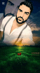 a man with a beard is standing in a field with a red flower in the foreground
