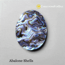 Abalone Shells For Sale Abalone Shell Gemstone GIF