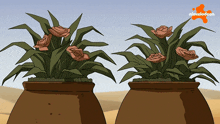 two potted plants with a nickelodeon logo on the bottom