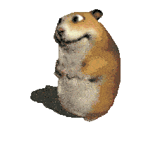 a hamster with its mouth open is standing on a white background .